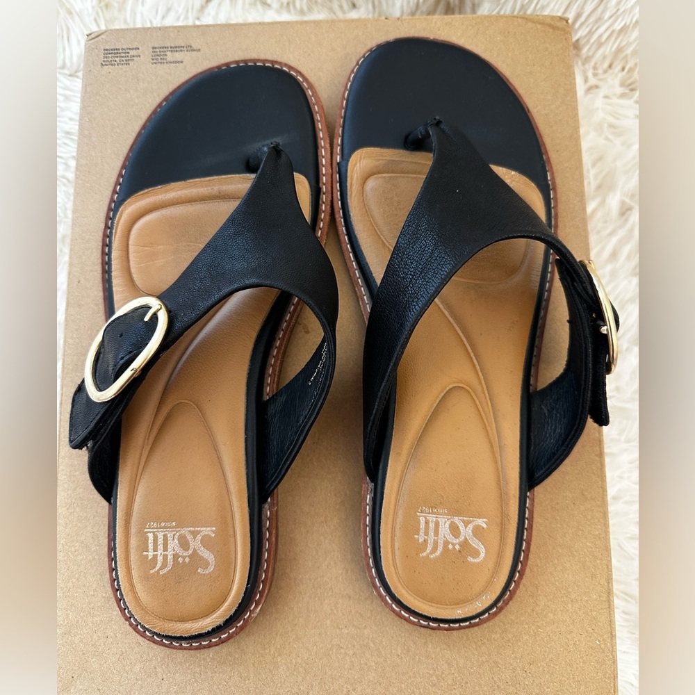 Black & Tan Leather Buckle Thong Sandals
